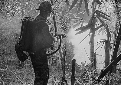 Зверства американских солдат во Вьетнаме